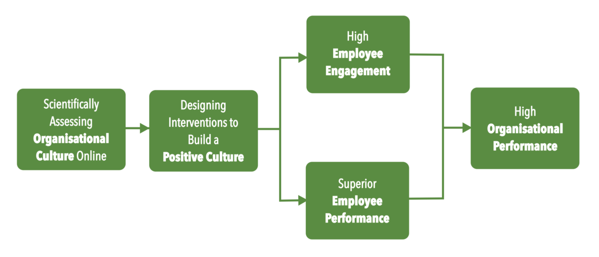 Building An Effective Work Culture – HARS